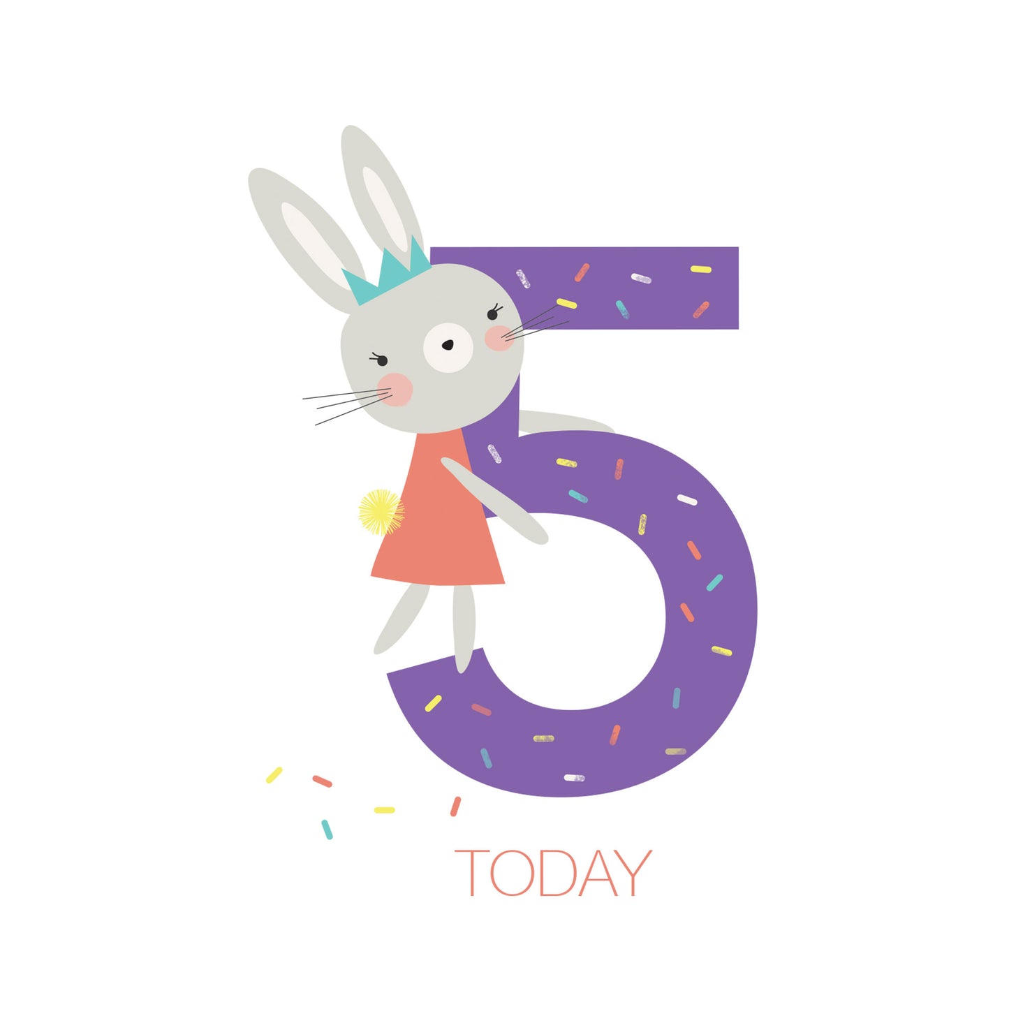 5 Today Bunny Birthday Card
