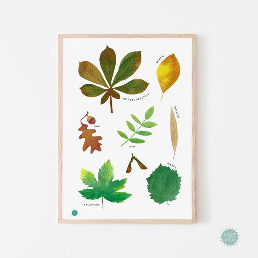 art print of leaves with a natural frame