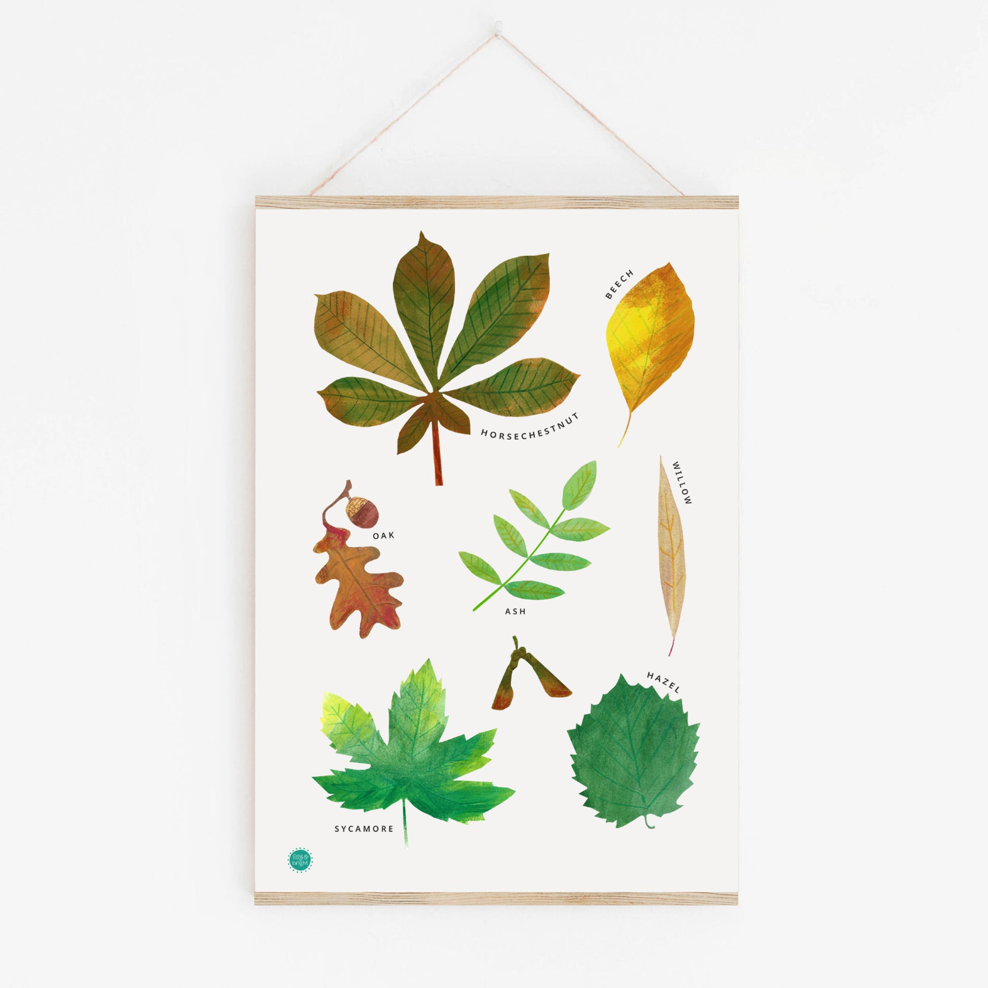 Art print with illustrations of leaves with a poster hanger