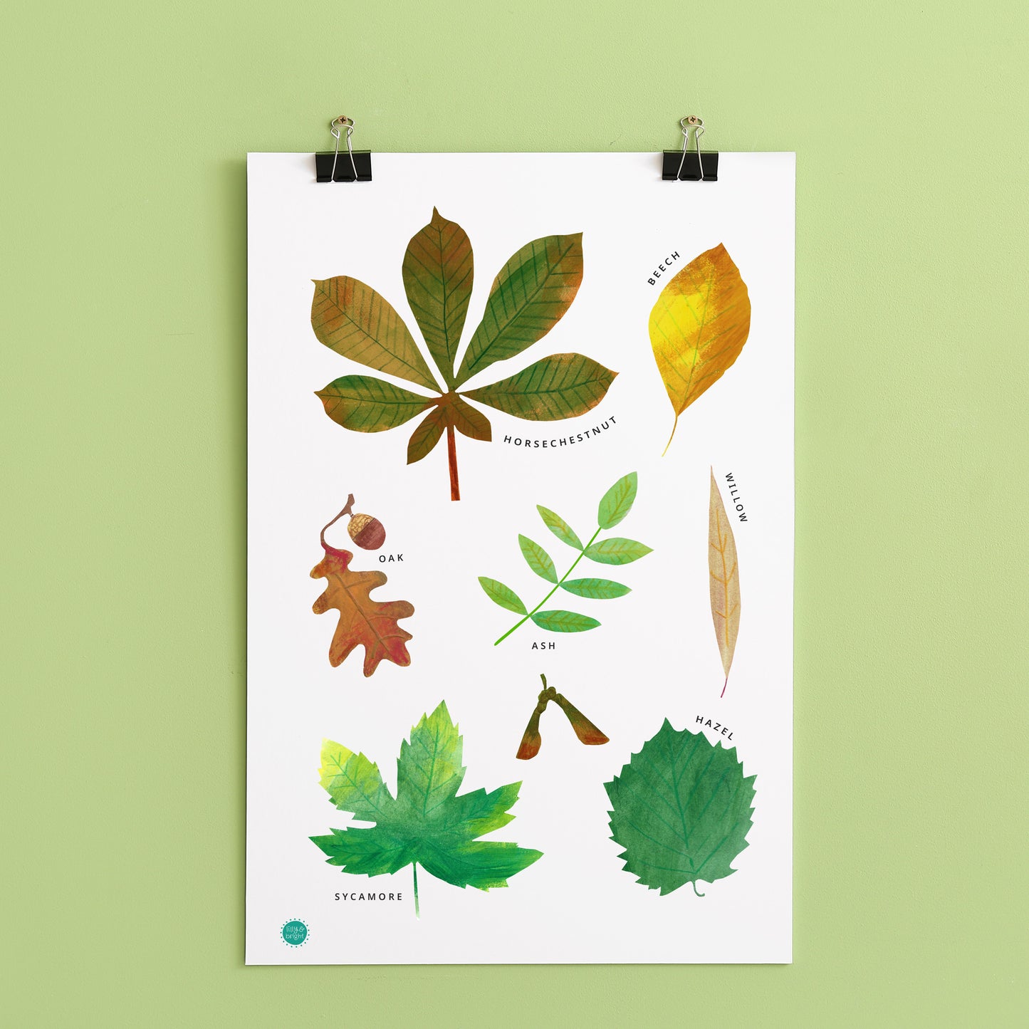 Giclée Art Print with illustrations of leaves on a green background