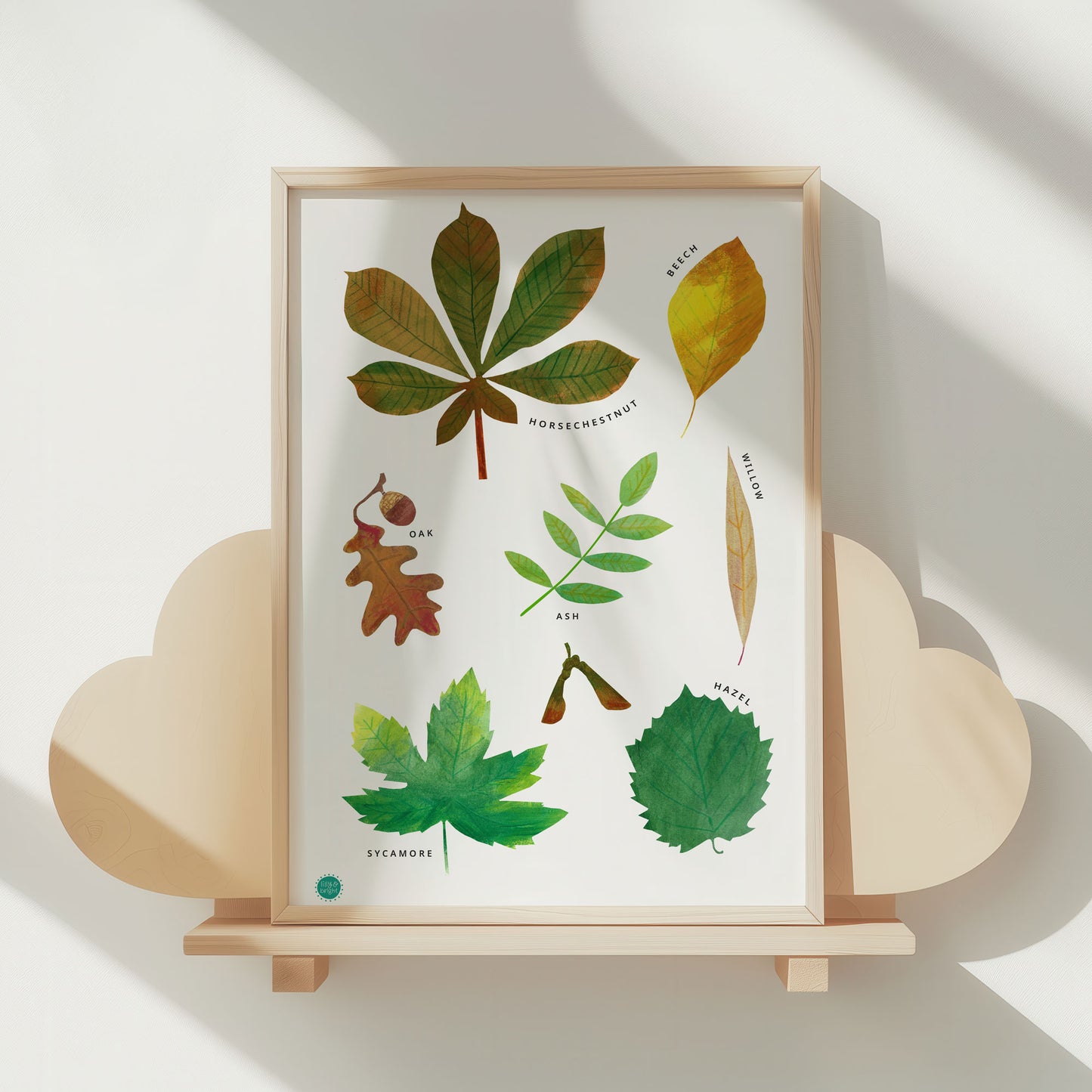 Framed print of leaf illustrations on a white background