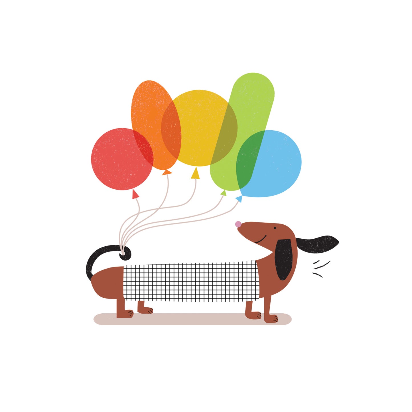 Lilly & Bright Sausage Dog with Balloons Greeting Card Detail