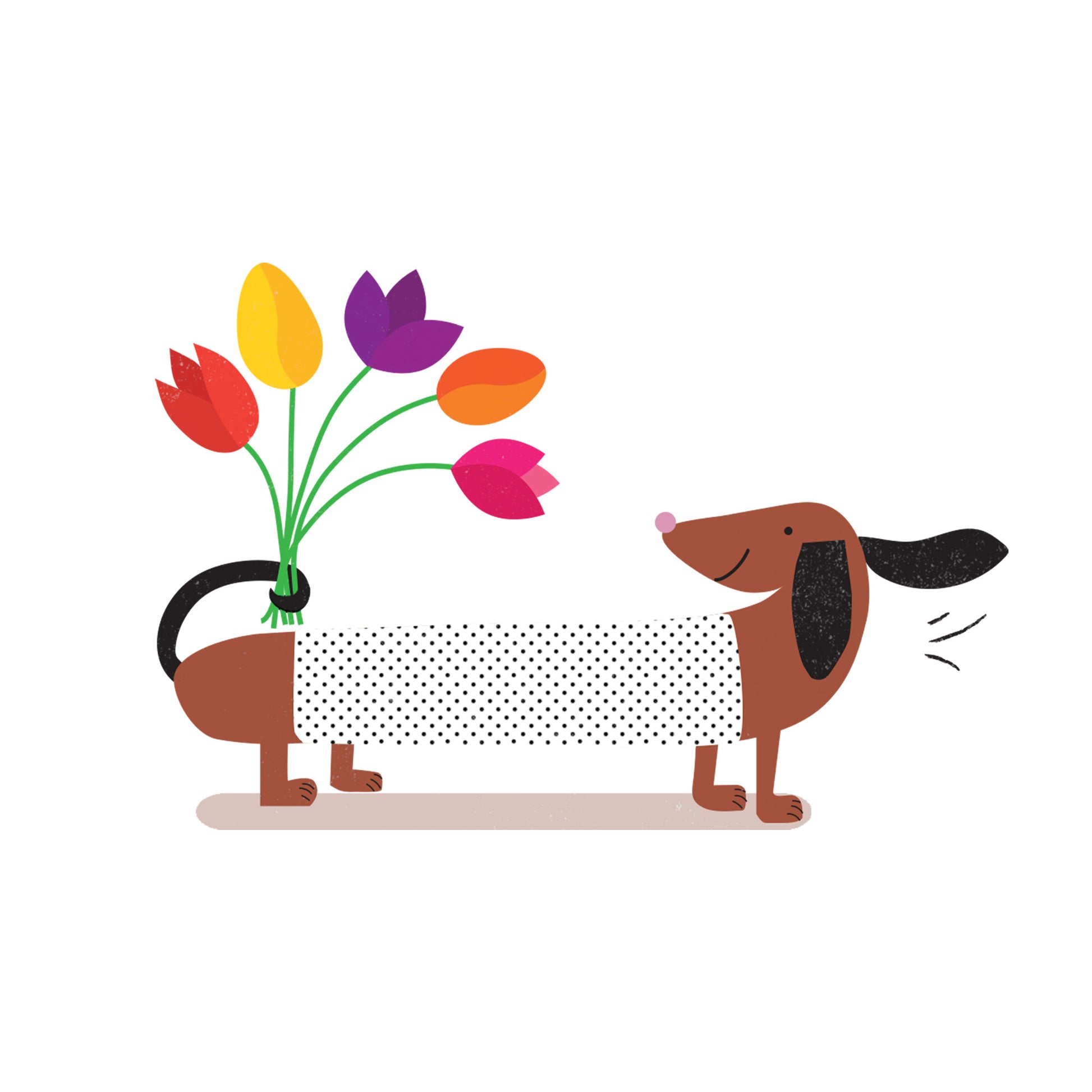 Lilly & Bright Sausage Dog with Flowers Greeting Card Detail